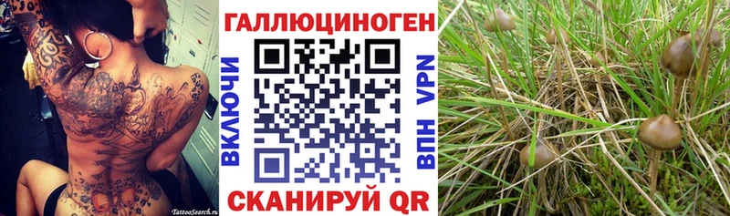 Галлюциногенные грибы ЛСД  Апшеронск 